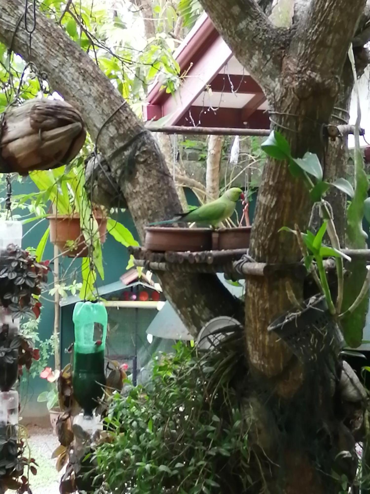 Kanthi Holiday Rest Homestay Mirissa Exterior photo