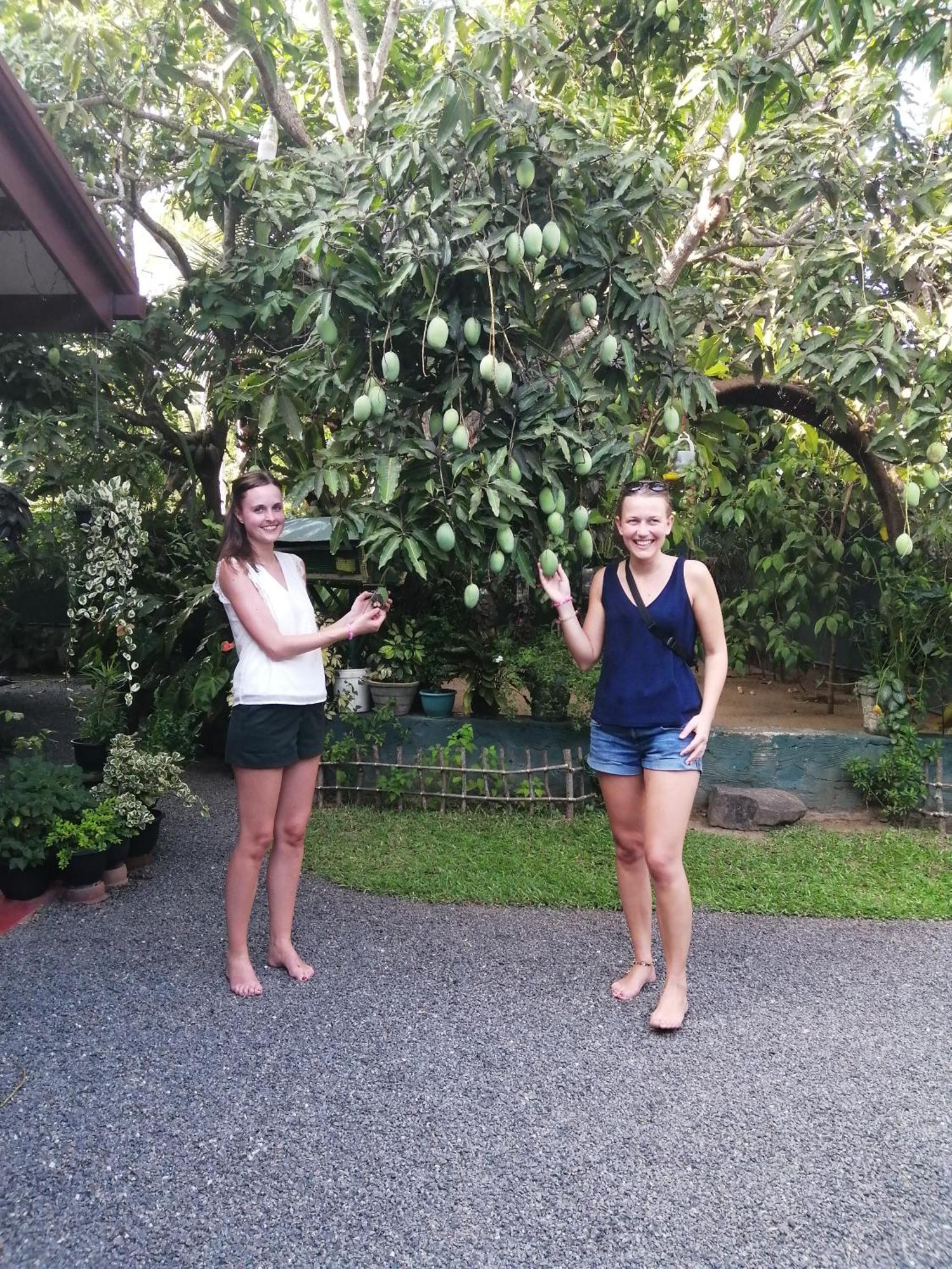 Kanthi Holiday Rest Homestay Mirissa Exterior photo