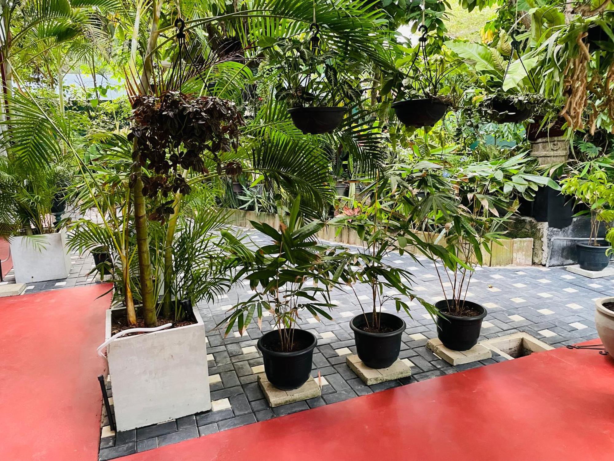 Kanthi Holiday Rest Homestay Mirissa Exterior photo