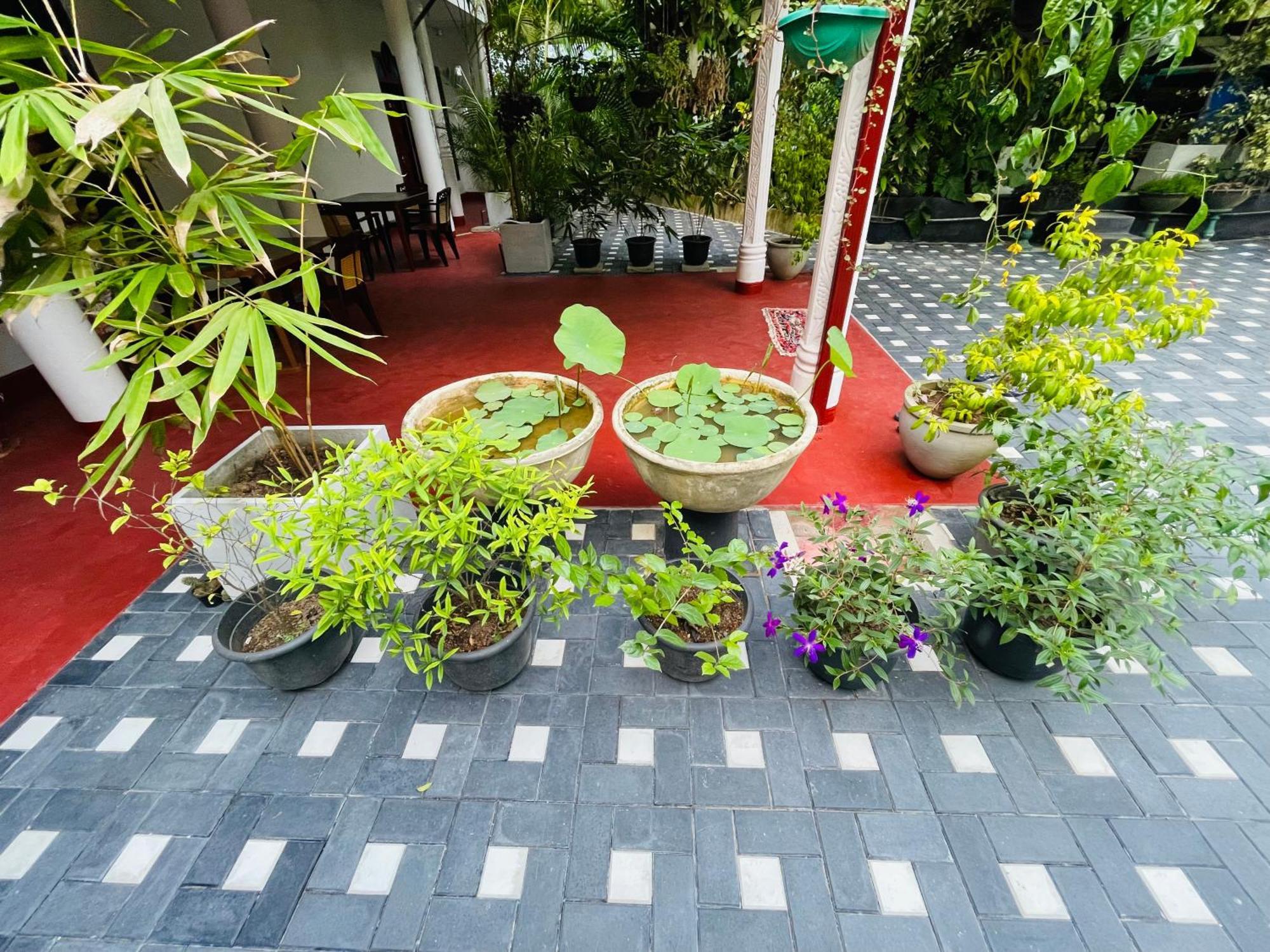 Kanthi Holiday Rest Homestay Mirissa Exterior photo